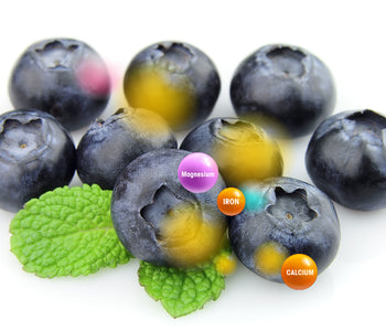 Bilberry fruit vegetable blends - Vegan Tabs