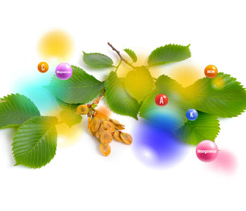 Slippery elm bark vegetable blends - Vegan Tabs