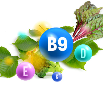 Vitamin B9 - The benefits of Vegan Tabs