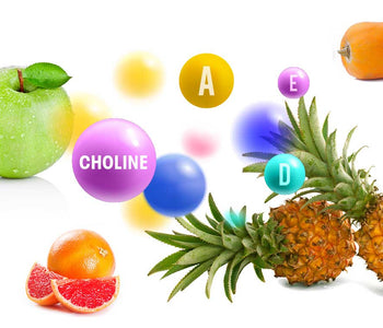 Choline - Vitamins - The benefits of Vegan Tabs