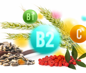 B2 essential vitamins The benefits of Vegan Tabs