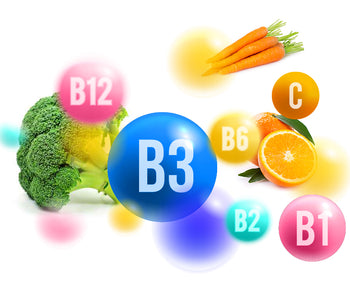 B3 essential vitamins The benefits of Vegan Tabs
