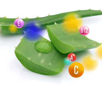 Aloe Vera fruit vegetable blends - Vegan Tabs