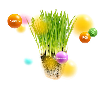 Barley Leaf vegetable blends - Vegan Tabs