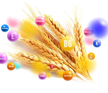 Beta Glucans vegetable blends - Vegan Tabs