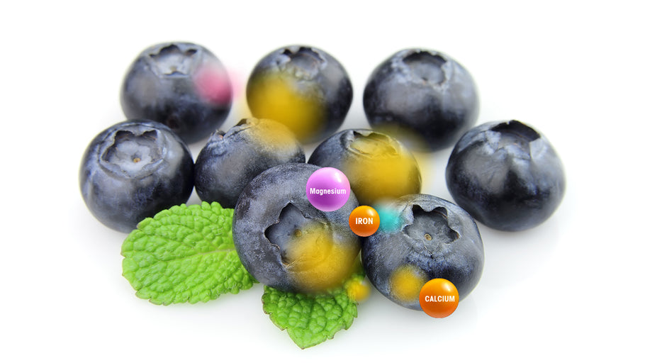 Bilberry fruit vegetable blends - Vegan Tabs