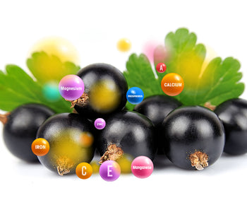 Black Currant fruit vegetable blends - Vegan Tabs