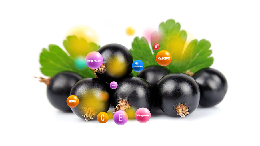 Black Currant fruit vegetable blends - Vegan Tabs