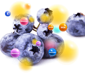 Blueberry vegetable blends - Vegan Tabs