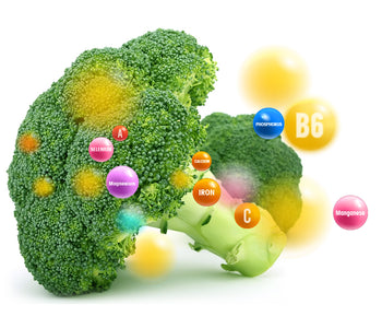 Broccoli flower vegetable blends - Vegan Tabs