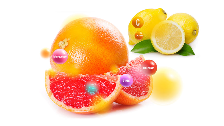 Citrus Bioflavonoids vegetable blends - Vegan Tabs
