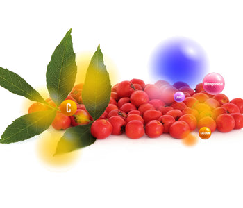 Hawthorn berry vegetable blends - Vegan Tabs