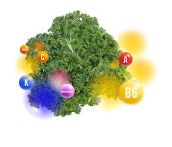 Kale vegetable blends - Vegan Tabs