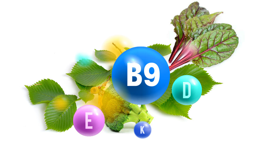 Vitamin B9 - The benefits of Vegan Tabs