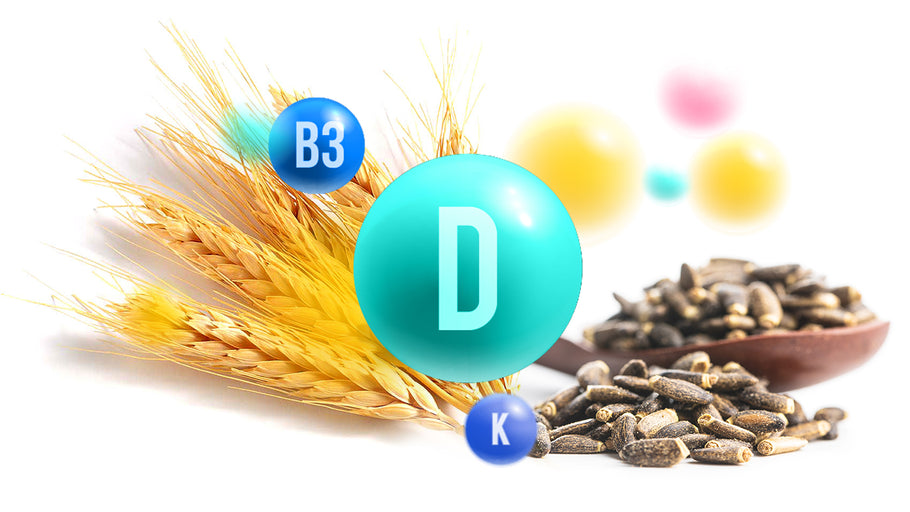 Vitamin D - The benefits of Vegan Tabs