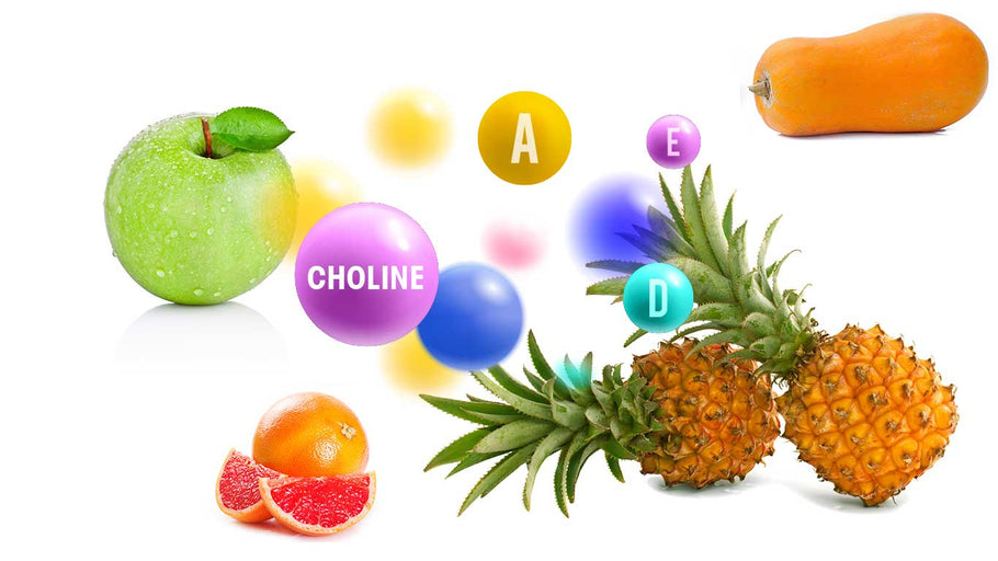 Choline - Vitamins - The benefits of Vegan Tabs