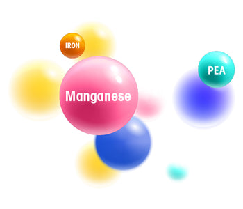 Manganese - Minerals - The benefits of Vegan Tabs