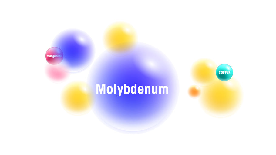 Molybdenum - Minerals - The benefits of Vegan Tabs