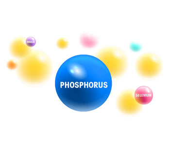 Phosphorous - Minerals - The benefits of Vegan Tabs