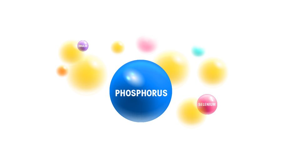 Phosphorous - Minerals - The benefits of Vegan Tabs
