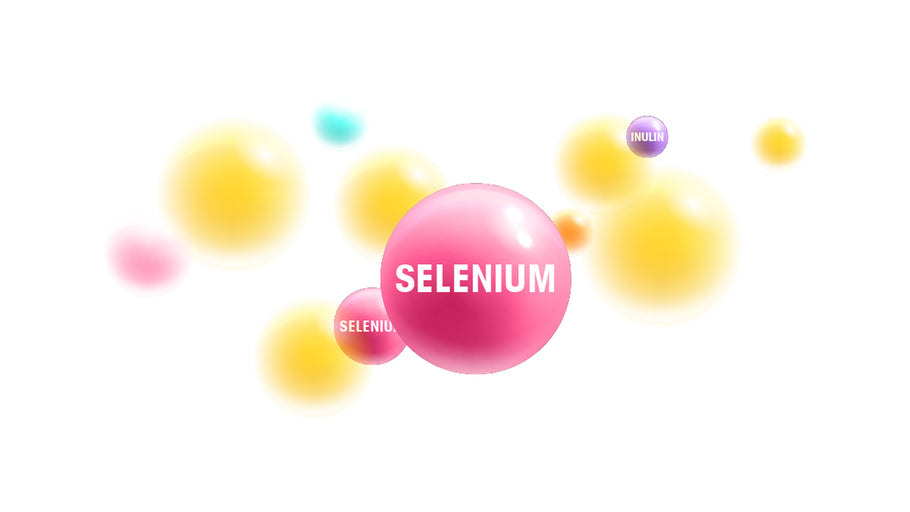 Selenium - Minerals - The benefits of Vegan Tabs