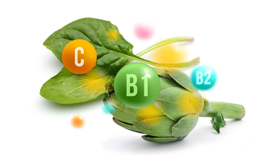 B1 essential vitamins The benefits of Vegan Tabs