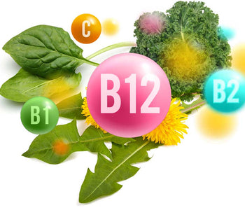 B12 essential vitamins The benefits of Vegan Tabs