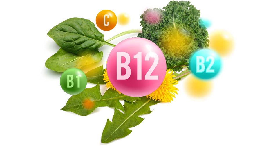 B12 essential vitamins The benefits of Vegan Tabs