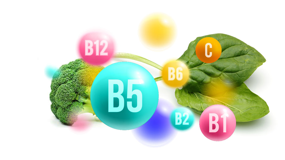 B5 essential vitamins The benefits of Vegan Tabs