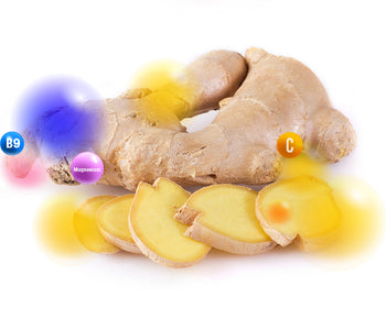 Ginger Rhizome vegetable blends - Vegan Tabs